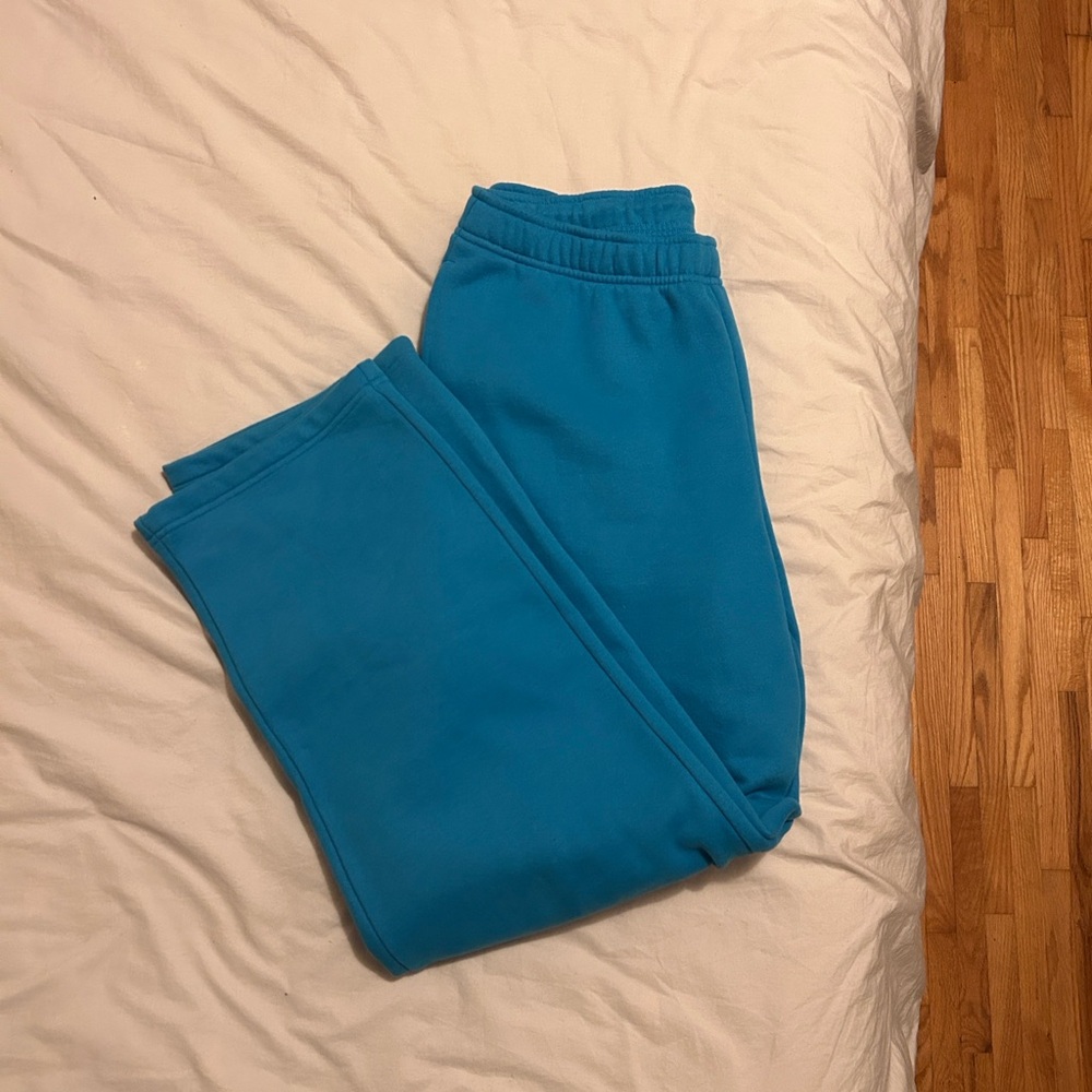 Aritzia Blue Sweatfleece pants